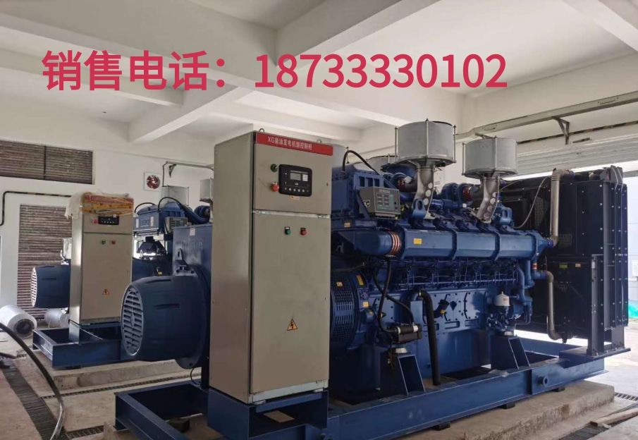 天津自来水公司项目2台1000KW国三玉柴发电机组